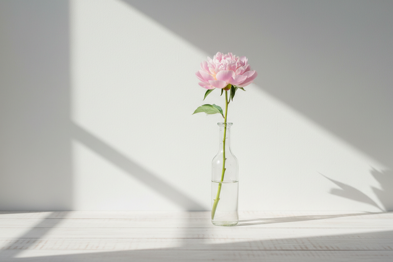 Minimal lifestyle objects representing kindness and small gestures — soft shadows, Scandinavian style. A single flower in a glass vase (not roses)